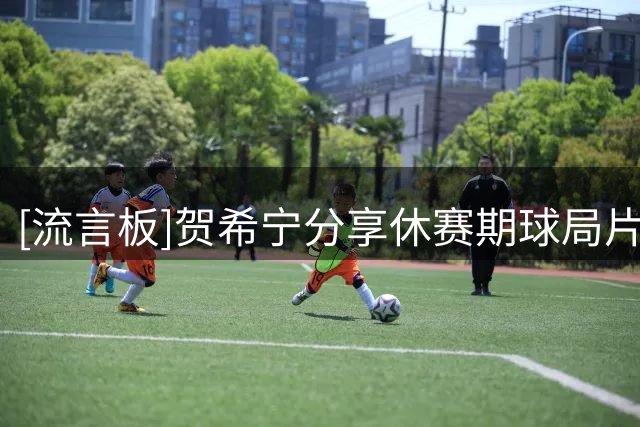 [流言板]贺希宁分享休赛期球局片段：休赛期日常|六月4v4球局
